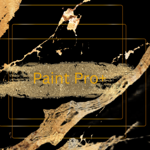 Paint Pro+