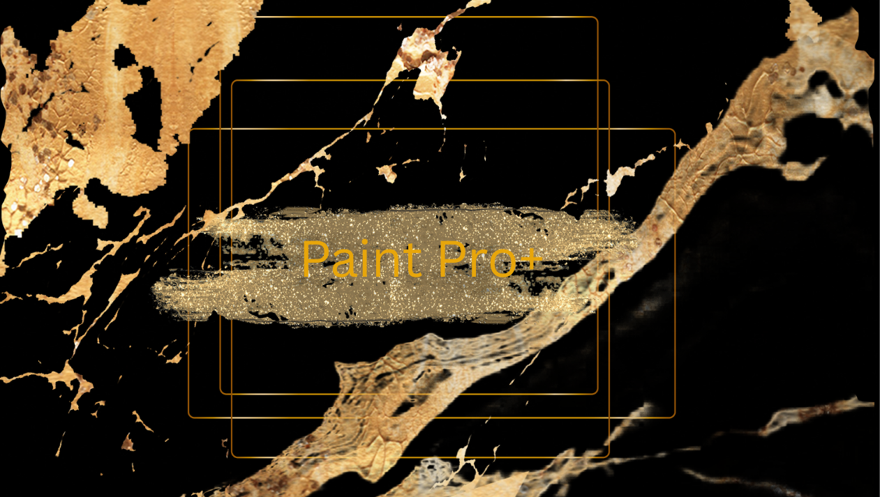 Paint Pro+